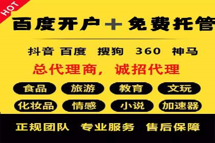 百度竞价代理的客户案例：如何实现ROI最大化